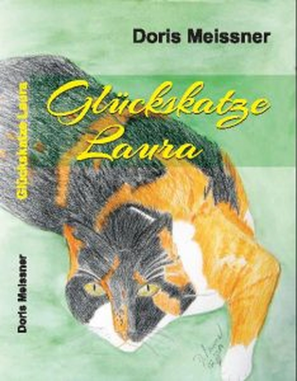 Katzenhilfe Radolfzell e.V. - Katzenrettungsverein -Kennzeichnung, Tätowierung, Chip, Registrierung — was ist das?